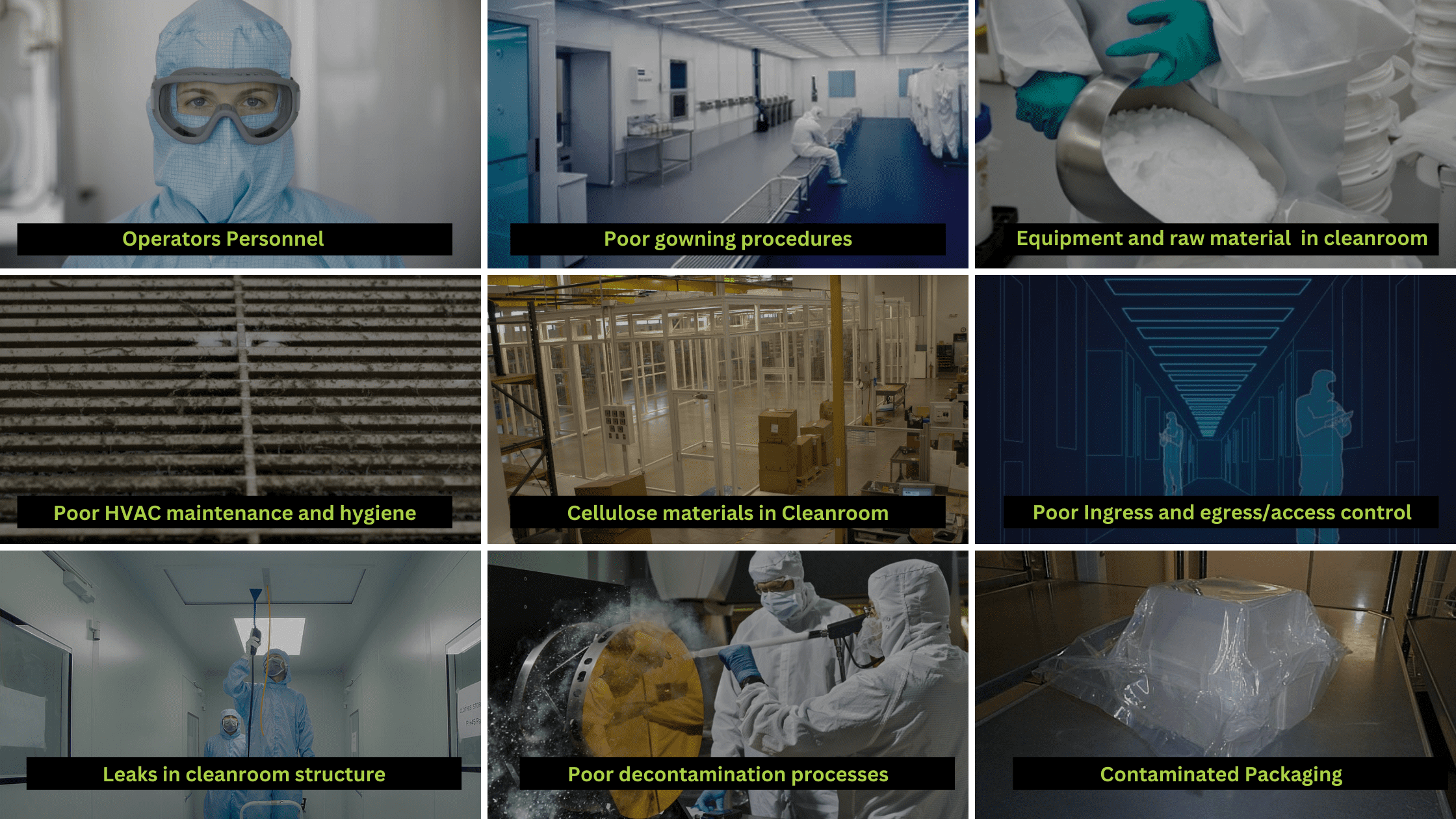 The Dangers of Fungal Contamination in Pharmaceutical Manufacturing