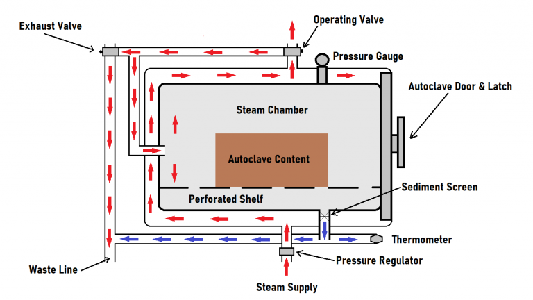 Steam Sterilization Process in Pharmaceuticals – HVAX | Turnkey Pharma ...